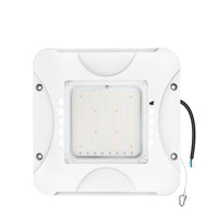 LED CANOPY GAS LIGHT