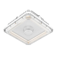 LED CANOPY LIGHT